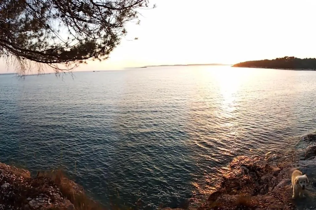Fully Renovated Studio Apartment Pula Stinjan Near The Beach 0*,  Croatia
